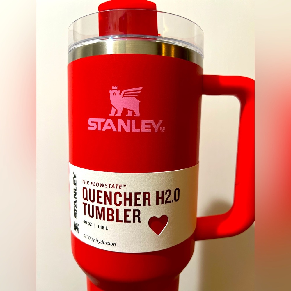 Valentines Stanley! ♥️